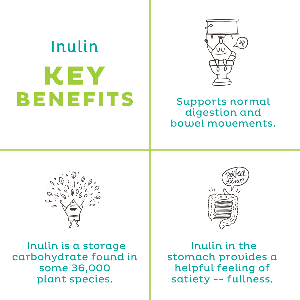 Organic Inulin Powder - Image 4