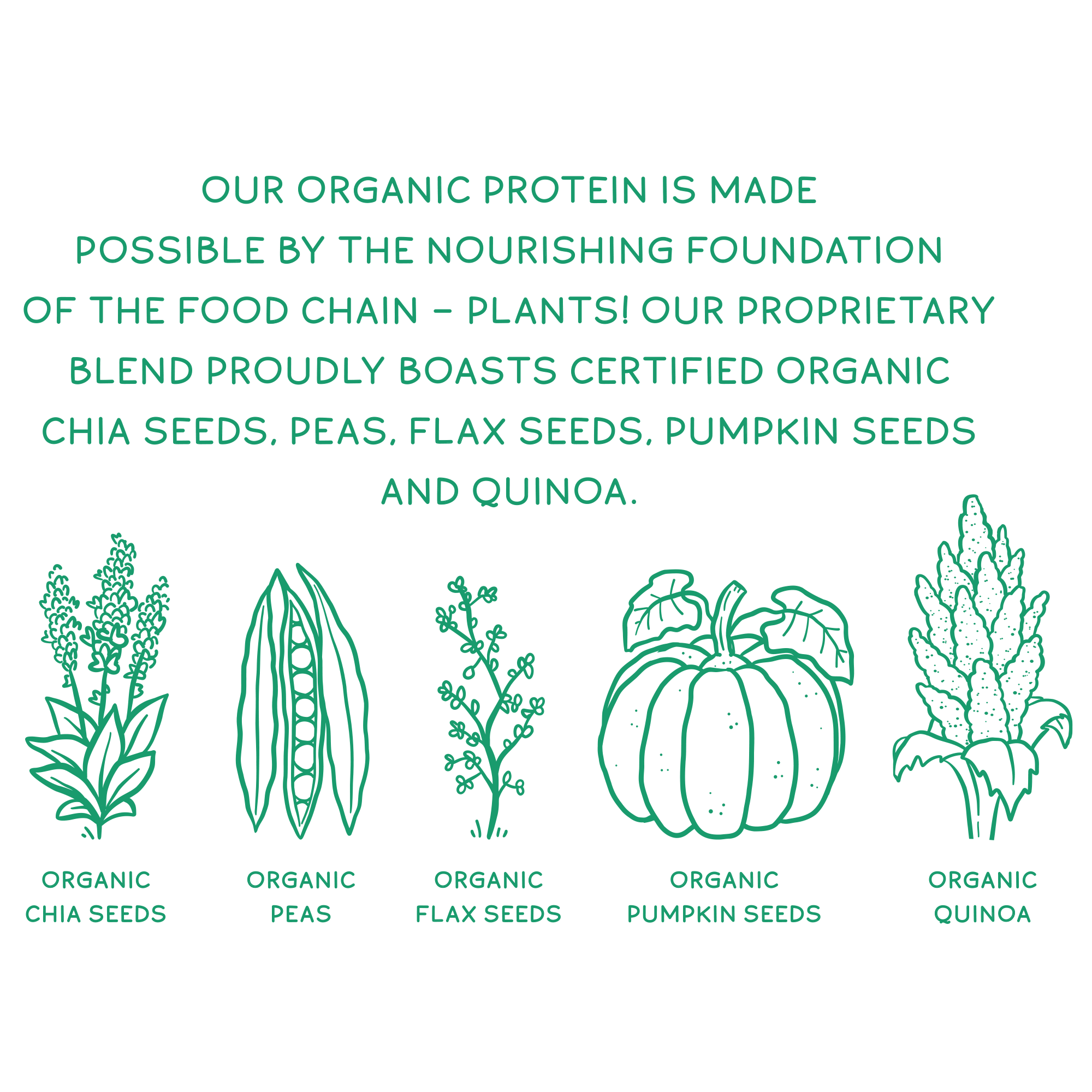 Organic Plant Protein, Unflavored & Unsweetened, 28 Servings - Image 9